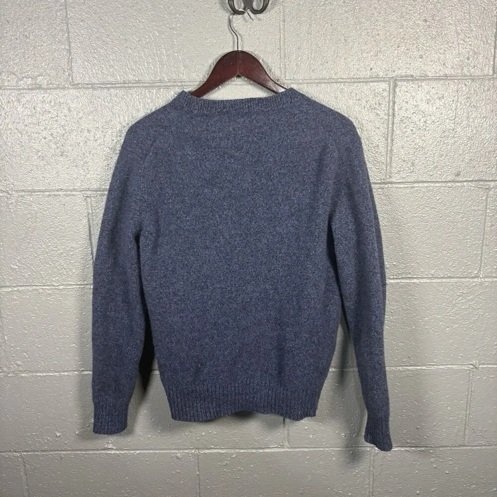 Banana Republic Sweater Men’s L 100% Extra Fine Merino Wool V Neck Blue